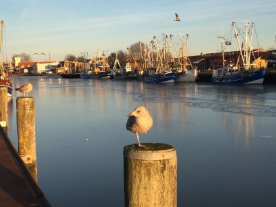 Holiday house "Lust auf Meer" holiday home - Environment photo 29