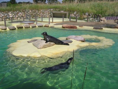 Holiday house "Lust auf Meer" holiday home - Environment photo 34