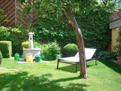 Holiday apartment Alber C - Outdoor photo 6
