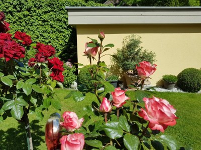 Holiday apartment Alber C - Outdoor photo 9