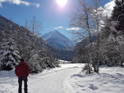 Holiday apartment Alber C - Environment photo 28