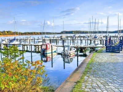 Holiday house Gustow Garden Retreat - Environment photo 22