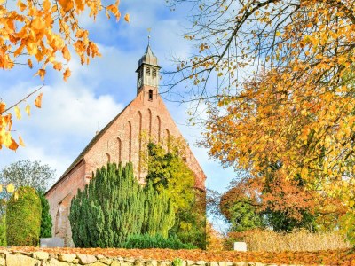 Holiday house Gustow Garden Retreat - Environment photo 23