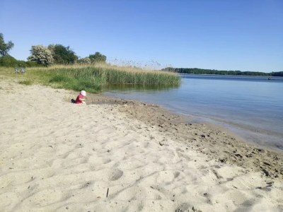 Holiday house Gustow Garden Retreat - Environment photo 24