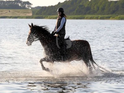Holiday house Gustow Garden Retreat - Environment photo 26