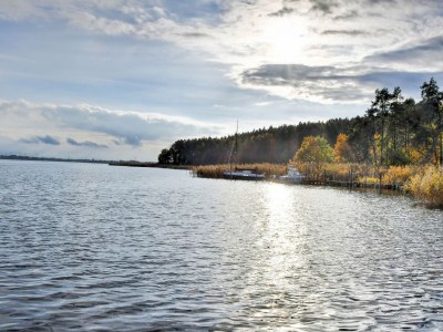 Holiday house Gustow Garden Retreat - Environment photo 27