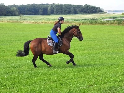 Holiday house Gustow Garden Retreat - Environment photo 28