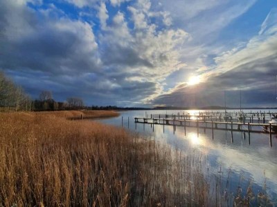 Holiday house Gustow Garden Retreat - Environment photo 29