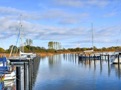 Holiday house Gustow Garden Retreat - Environment photo 31