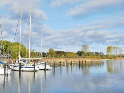 Holiday house Gustow Garden Retreat - Environment photo 32