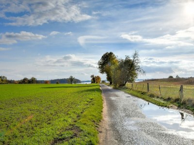 Holiday house Gustow Garden Retreat - Environment photo 33