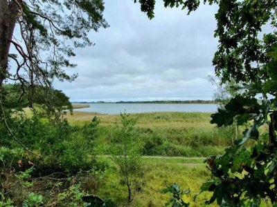 Holiday house Gustow Garden Retreat - Environment photo 34