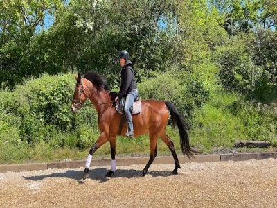 Holiday house Gustow Garden Retreat - Environment photo 35