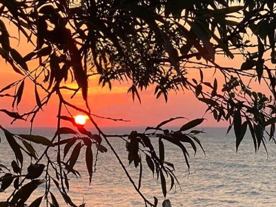 Apartment Wohnung in Elmenhorst nahe Ostseestrand - Environment photo 21