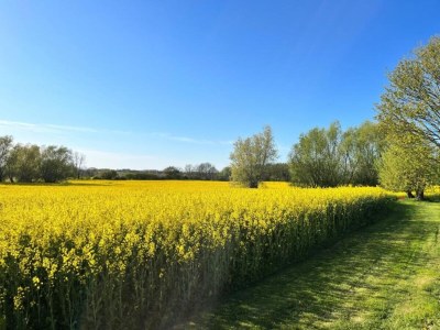 Apartment Wohnung in Elmenhorst nahe Ostseestrand - Environment photo 22