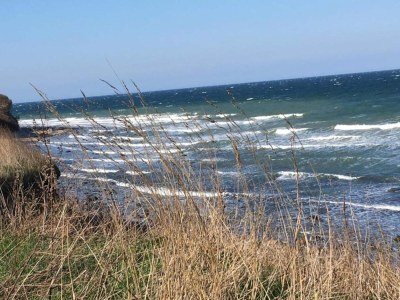 Bungalow Schöner Bungalow am Meer in Elmenhorst - Environment photo 18