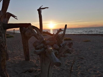 Bungalow Schöner Bungalow am Meer in Elmenhorst - Environment photo 19