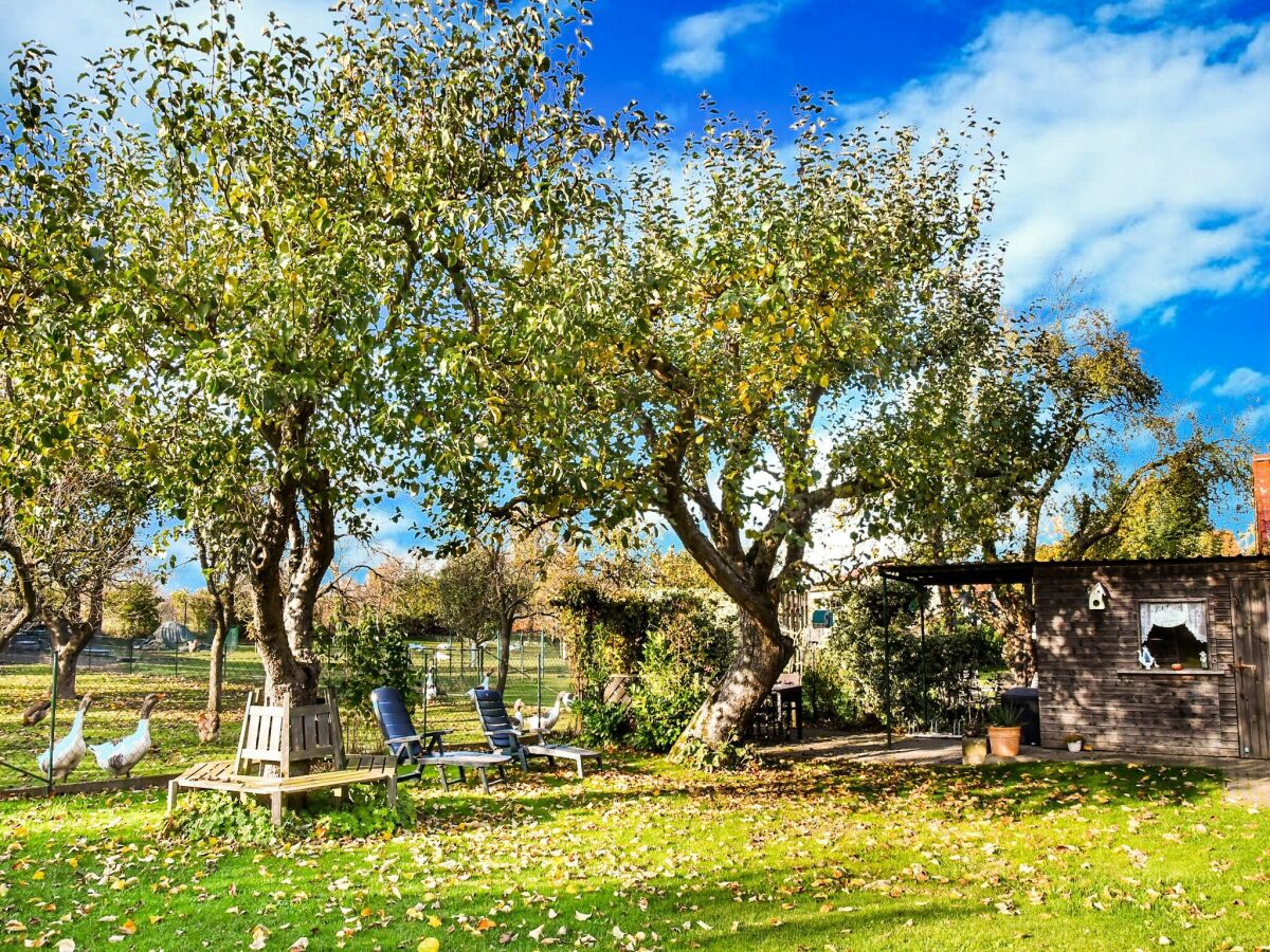 Holiday house Ferienhaus in Thorstorf mit Garten - Outdoor photo 2