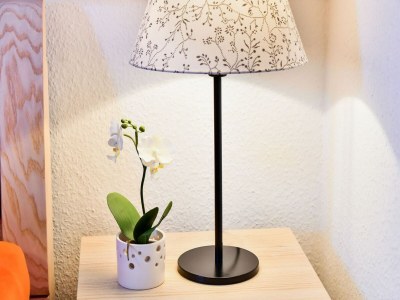 Holiday house Ferienhaus in Thorstorf mit Garten - Outdoor photo 39