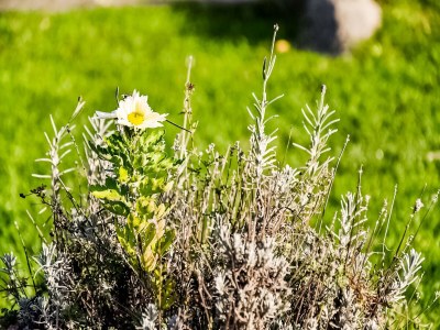 Holiday house Modernes Ferienhaus in Thorstorf mit Sauna - Outdoor photo 33