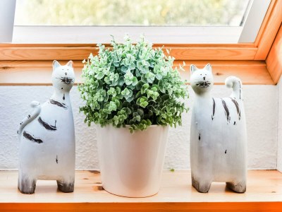 Holiday house Modernes Ferienhaus in Thorstorf mit Sauna - Outdoor photo 34