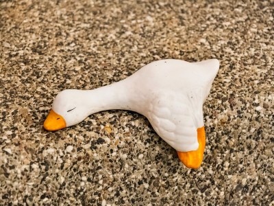 Holiday house Modernes Ferienhaus in Thorstorf mit Sauna - Outdoor photo 37