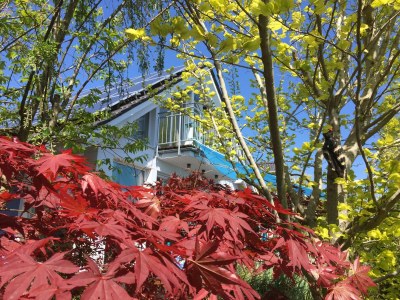 Holiday house Ferienhaus "Marianne" in Breege - Outdoor photo 10