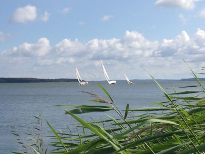 Holiday house Ferienhaus "Marianne" in Breege - Environment photo 31