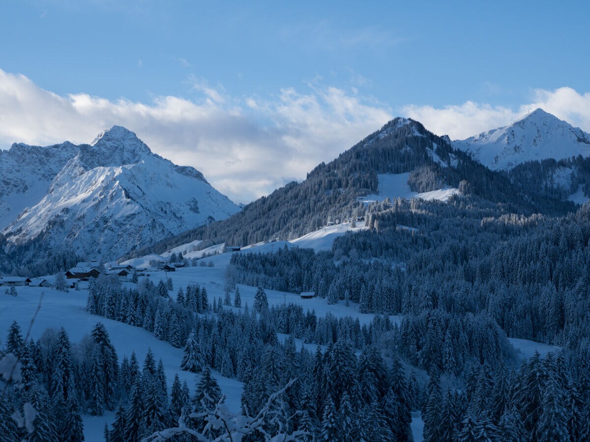 Holiday apartment Haus Sonneck - Outdoor photo 5