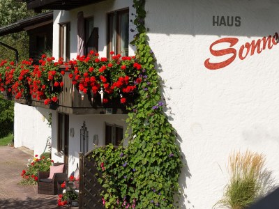 Holiday apartment Haus Sonneck in Riezlern - Holiday apartment