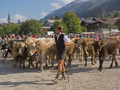 Holiday apartment Haus Sonneck - Environment photo 17