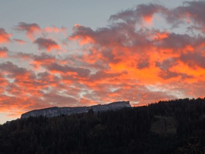 Holiday apartment Haus Sonneck - Environment photo 19