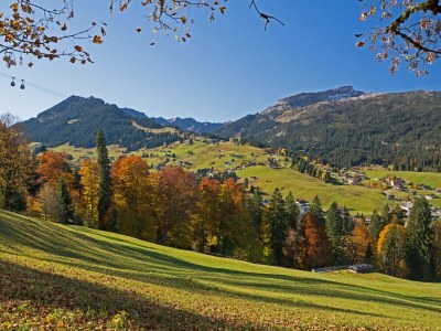 Holiday apartment Haus Sonneck - Environment photo 20