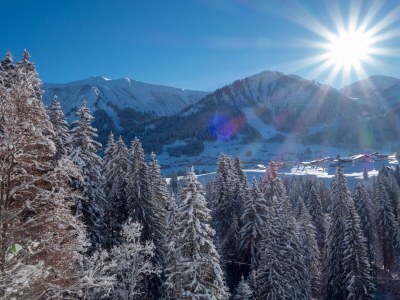 Holiday apartment Haus Sonneck - Environment photo 21