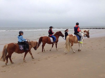 Holiday house Duinweg 2 - Environment photo 18