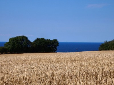 Holiday apartment Hayloft - Environment photo 18