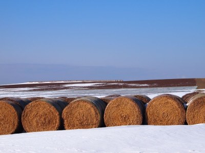 Holiday apartment Hayloft - Environment photo 19