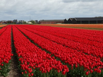 Holiday apartment Marshallstraat 1 - Environment photo 19