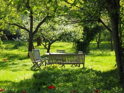 Holiday apartment Small garden apartment - Features photo 10