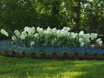 Holiday apartment Small garden apartment - Environment photo 18