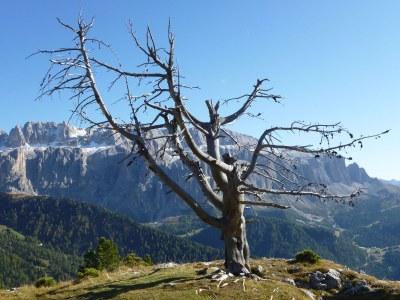 Holiday apartment - No title - - Environment photo 21