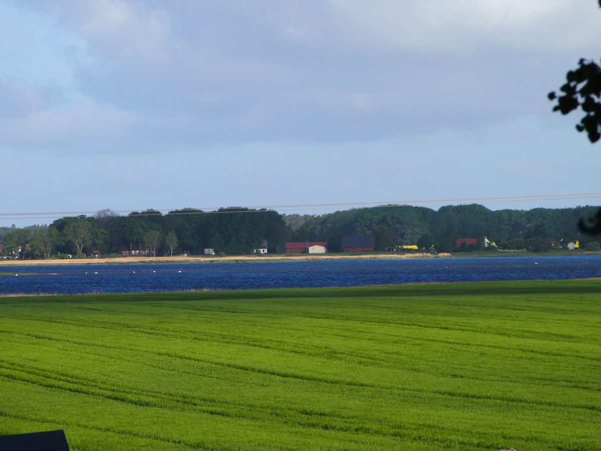 Holiday apartment A Parterre - Outdoor photo 2