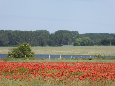 Holiday apartment A Parterre - Outdoor photo 10