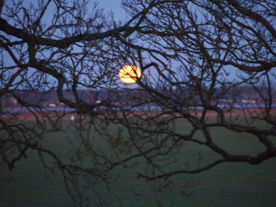 Holiday apartment A Parterre - Environment photo 28