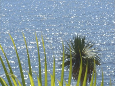 Apartment Cuba - Outdoor photo 5
