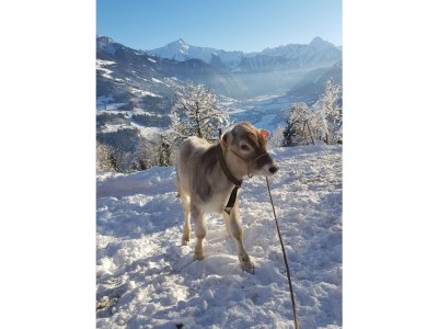 Holiday apartment Haus Burbach - Environment photo 19