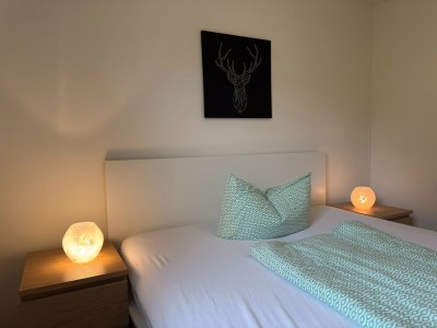 Holiday house Ferienhaus mit Kamin in Thale-Friedrichsbrunn - Features photo 25