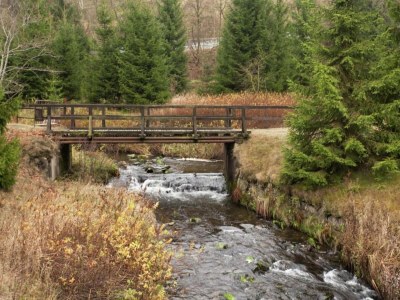 Holiday house Ferienhaus mit Kamin in Thale-Friedrichsbrunn - Environment photo 31