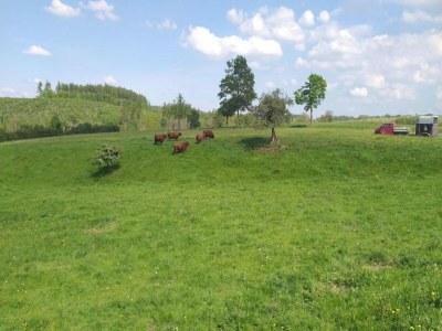 Holiday house Ferienhaus mit Kamin in Thale-Friedrichsbrunn - Environment photo 34