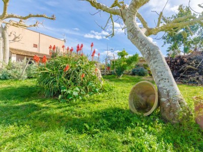 Villa Sabor De Cas Ferrer - Outdoor photo 35